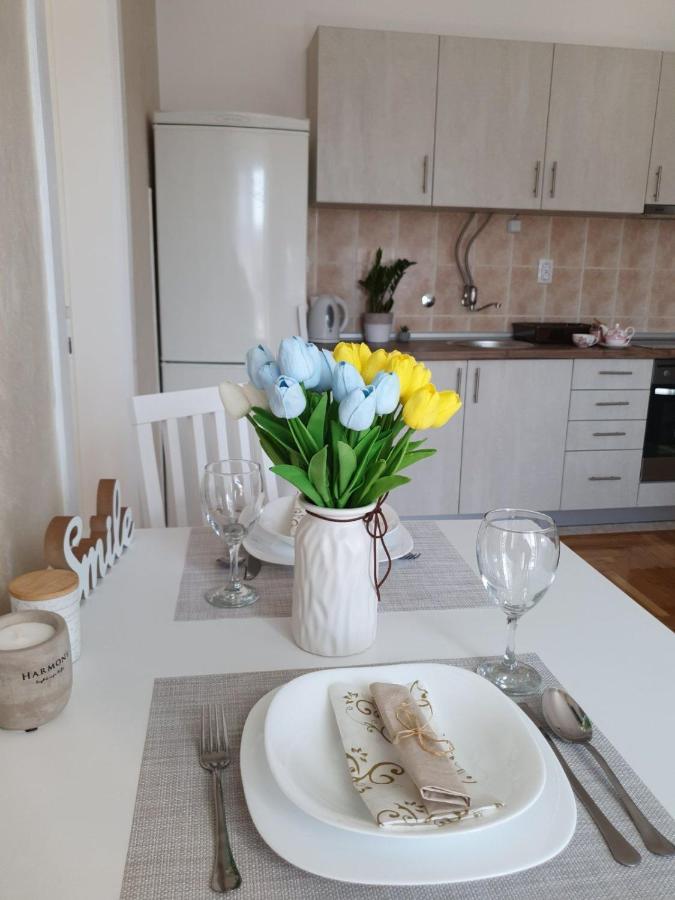 דירות נובי סאד Apartman Centar מראה חיצוני תמונה